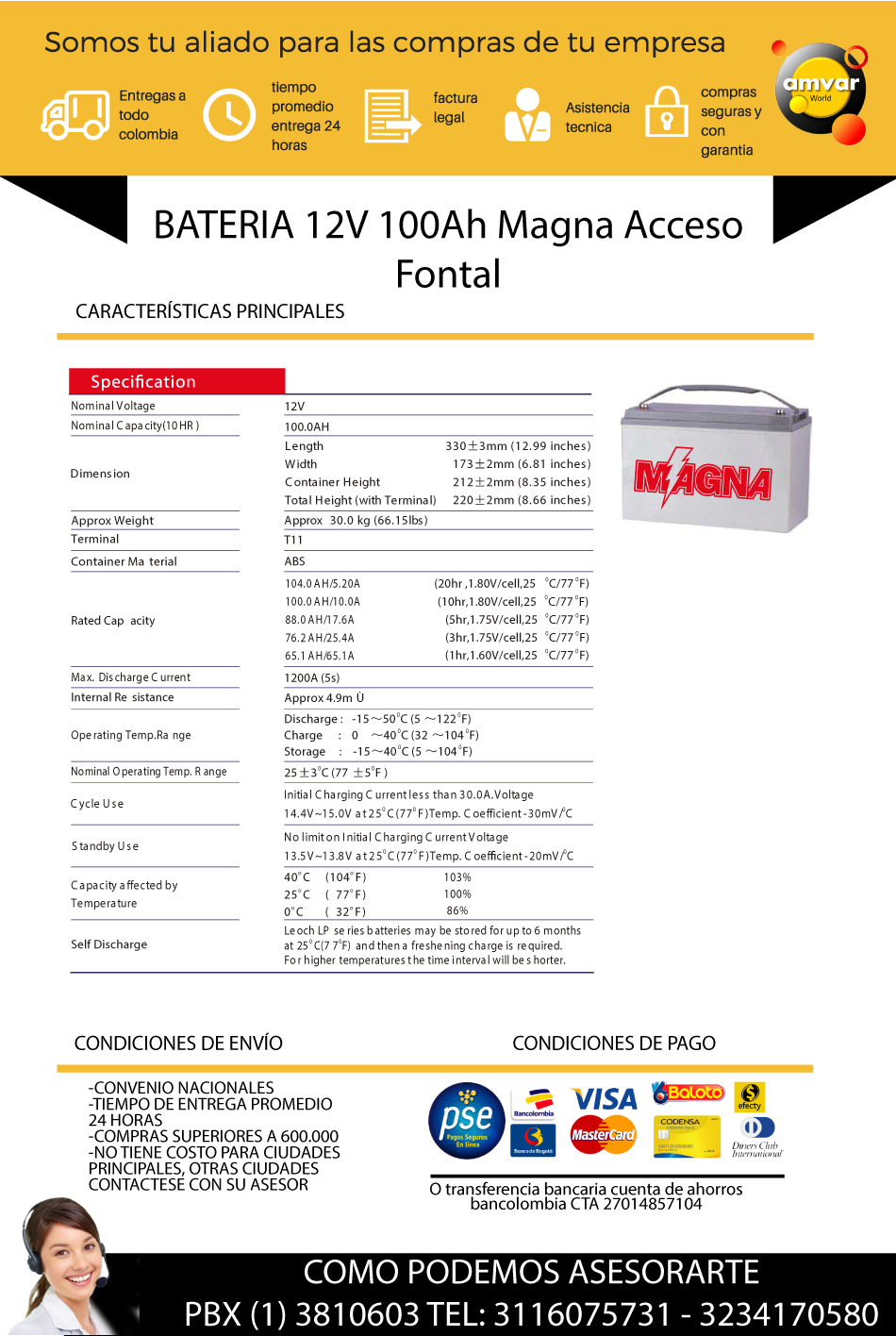 BATERIA 12V 100Ah Magna Acceso Fontal