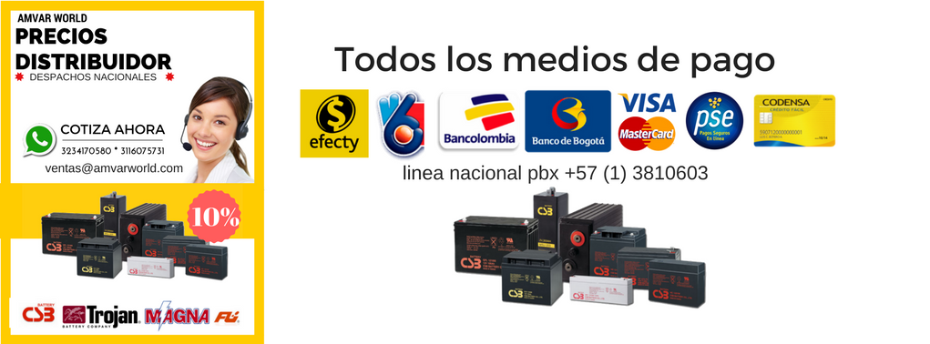 PANELES SOLARES AGM SELLADAS LIBRE DE MANTENIMIENTO