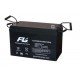 BATERIA 12V 100AH Fuli Battery