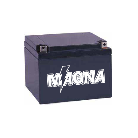 BATERIA 12V 100AH Magna Acceso frontal