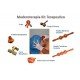 Maderoterapia kit corporal